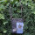Sunsa woman canvas bag blue shoulder bag small crossbody colorful