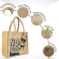 Domelo Jute Einkaufskorb, Vegane Einkaufstasche. Kleine Damenhandtasche